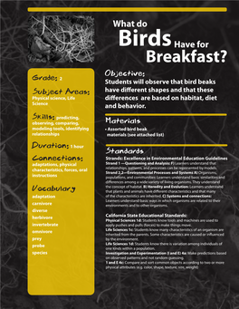 What Do Birds Have for Breakfast?