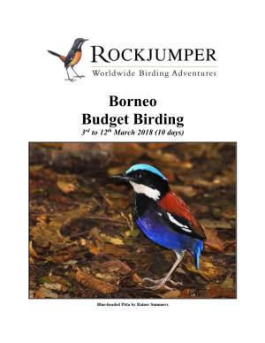 Borneo Budget Birding 3Rd to 12Th March 2018 (10 Days)