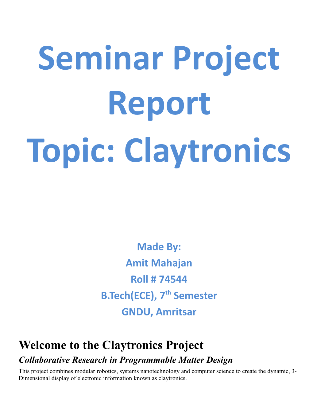 Seminar Project Report