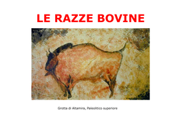 Le Razze Bovine