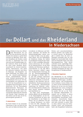 Der Dollart Und Das Rheiderland in Niedersachsen