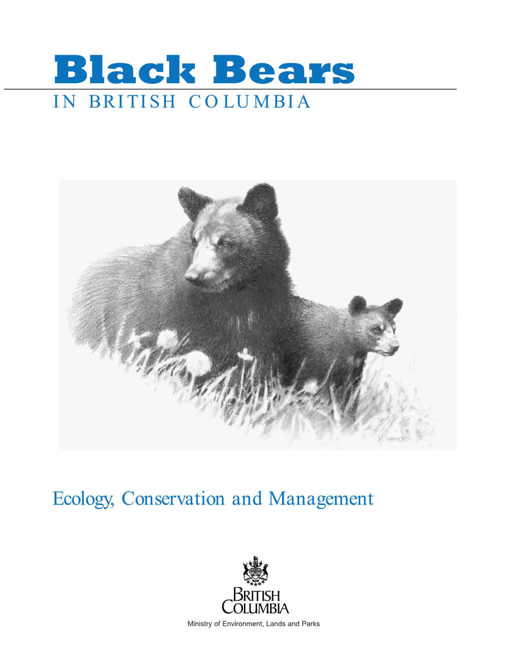 Black Bear-For Pdf.2