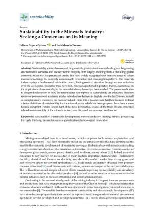 Sustainability in the Minerals Industry: Seeking a Consensus on Its Meaning