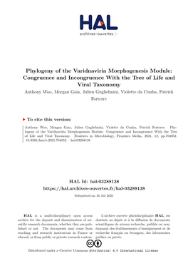 Phylogeny of the Varidnaviria Morphogenesis Module