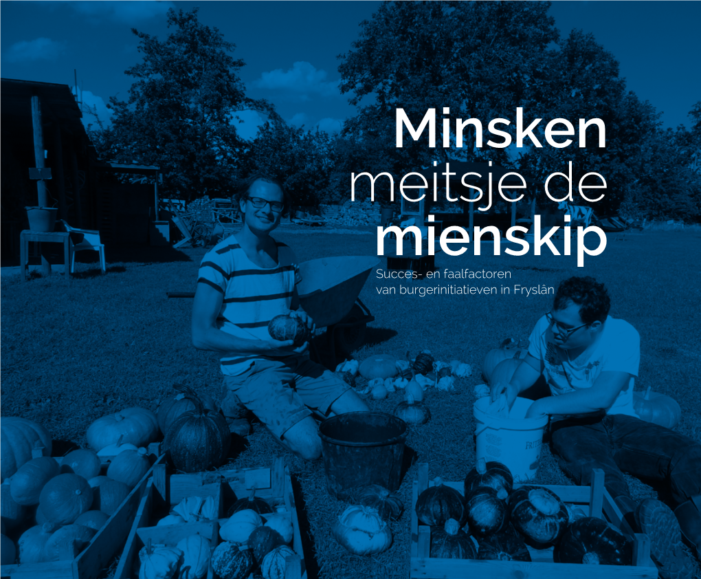 Minsken Meitsje De Mienskip Succes- En Faalfactoren Van Burgerinitiatieven in Fryslân