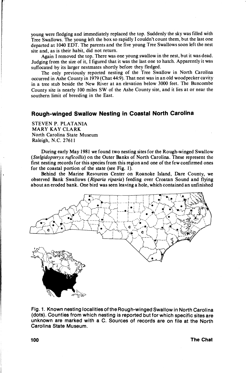 Rough-Winged Swallow Nesting in Coastal North Carolina STEVEN P