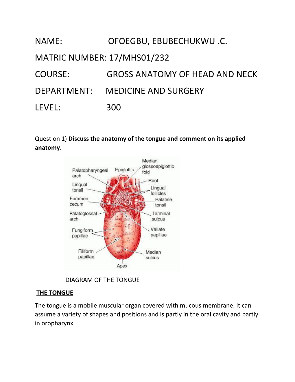Gross Anatomy of Head and Neck Department