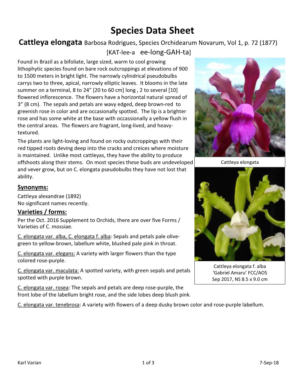 Species Data Sheet Cattleya Elongata Barbosa Rodrigues, Species Orchidearum Novarum, Vol 1, P