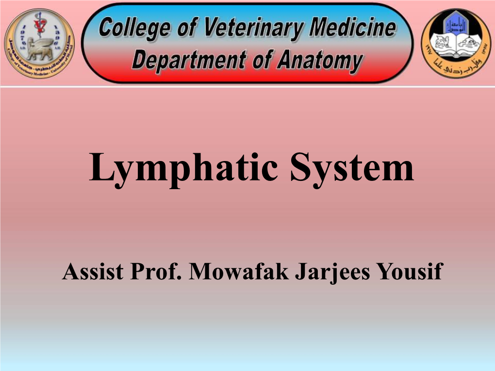 Lymphatic System