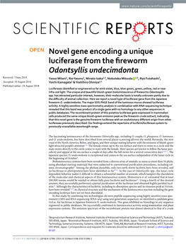 Novel Gene Encoding a Unique Luciferase from the Fireworm