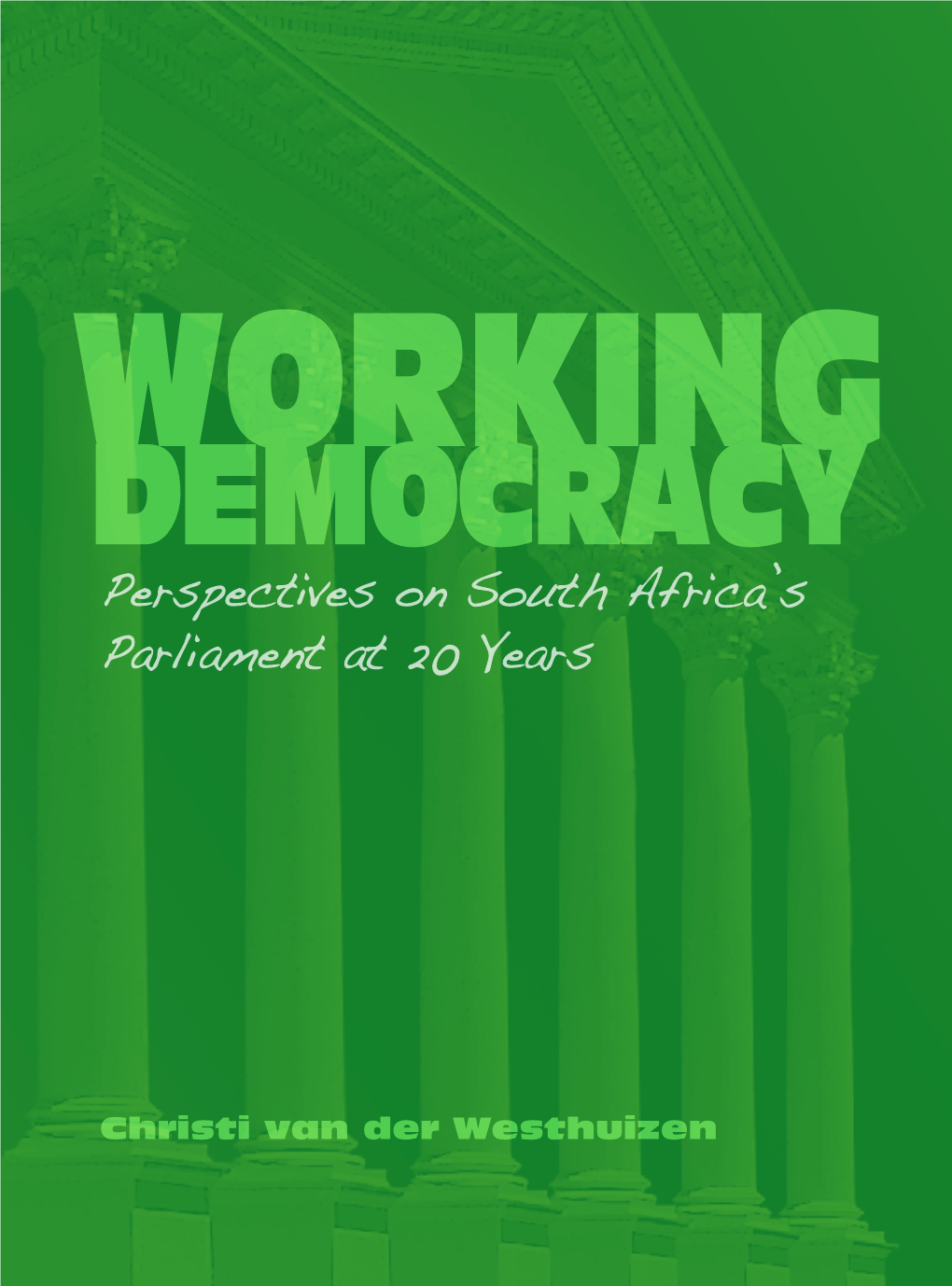 Perspectives on South Africa's Parliament at 20 Years