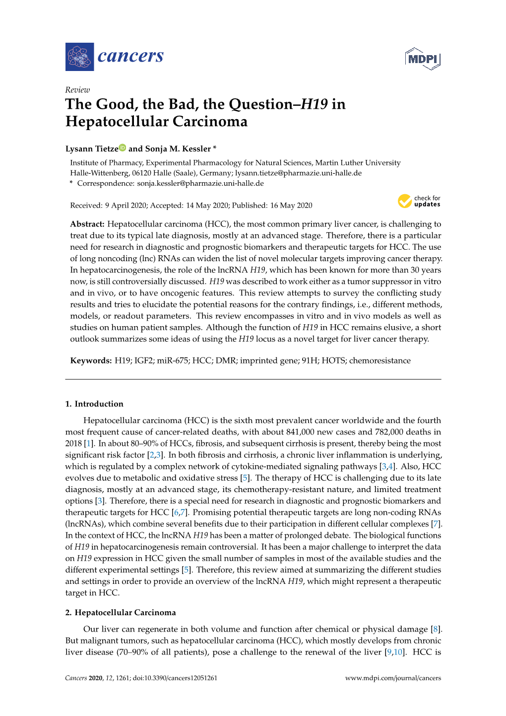 The Good, the Bad, the Question–H19 in Hepatocellular Carcinoma