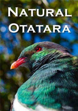 Natural Otatara