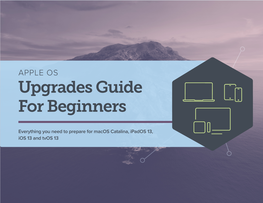 Upgrades Guide for Beginners