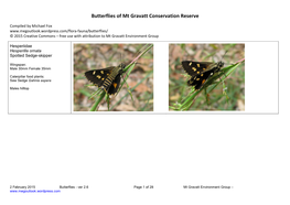 Butterflies of Mt Gravatt Conservation Reserve