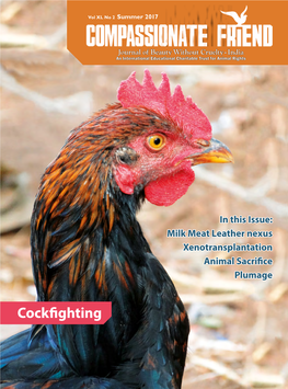 Cockfighting