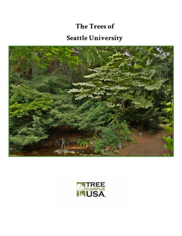 ​ the Trees of Seattle University