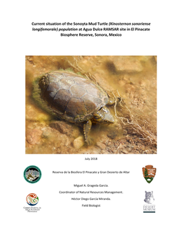 Current Situation of the Sonoyta Mud Turtle (Kinosternon Sonoriense