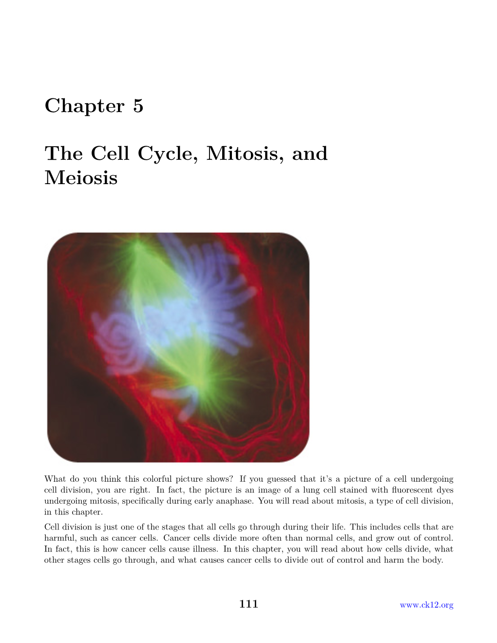 chapter-5-the-cell-cycle-mitosis-and-meiosis-docslib
