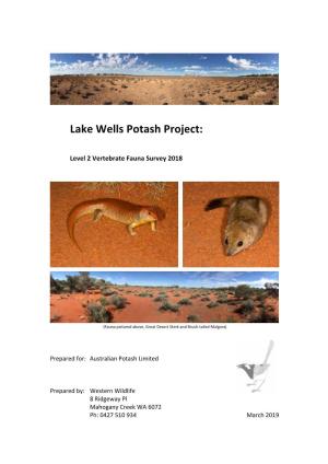 Lake Wells Potash Project