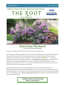 The Root October 2020 Newsletter, DCMGA's Monthly Newsletter