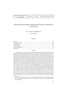 About the Heterostropha (Gastropoda) from the Carboniferous and Permian