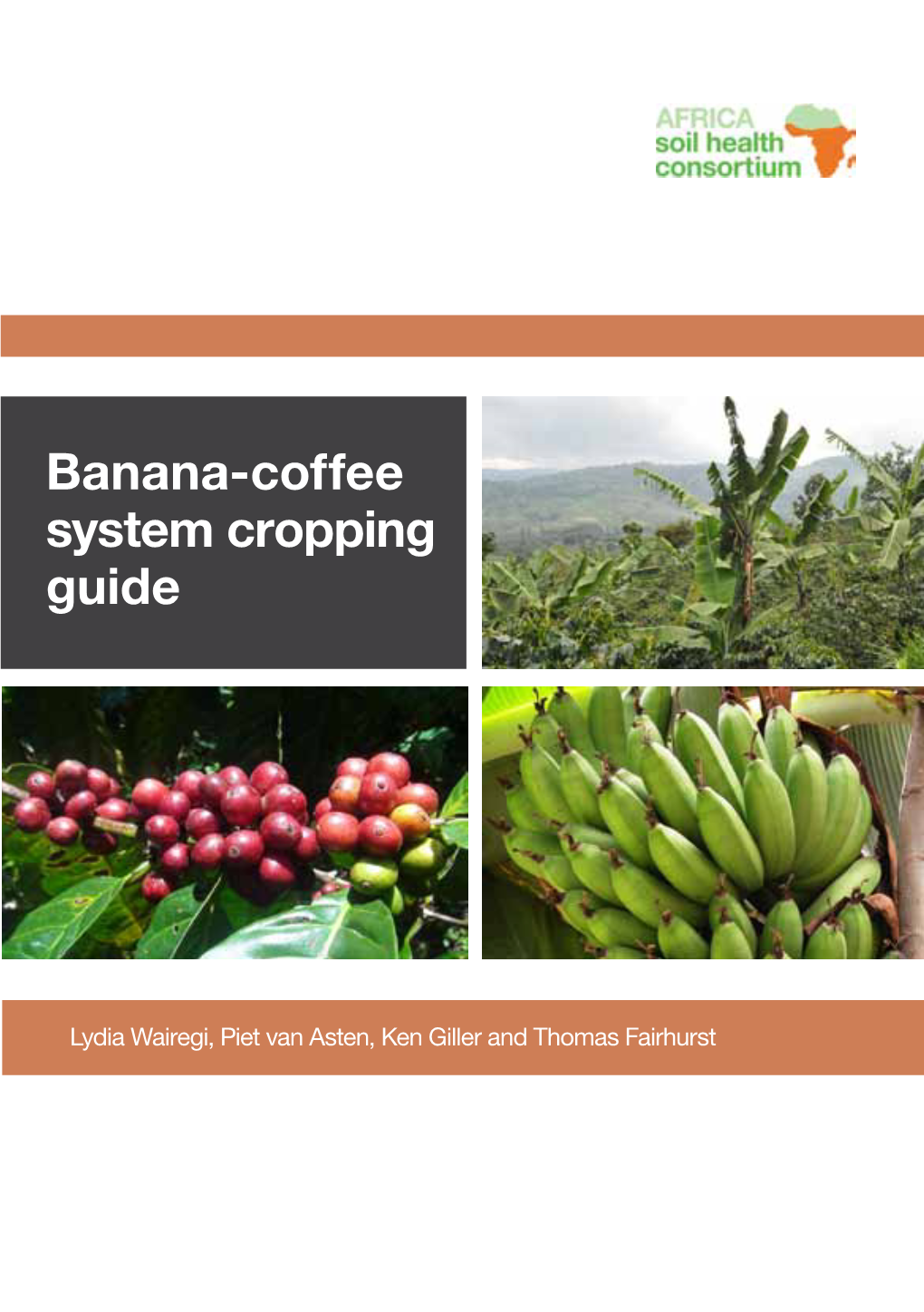 Banana-Coffee System Cropping Guide