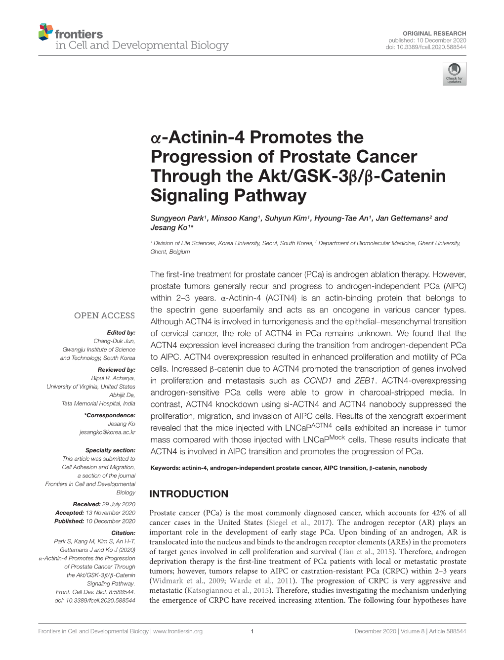 Α-Actinin-4 Promotes the Progression of Prostate Cancer Through the Akt/GSK-3Β/Β-Catenin Signaling Pathway