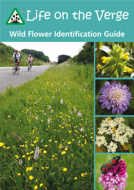 Wild Flower Identification Guide This Booklet… Is Designed to Help Volunteers Identify Wild Flowers on Road Verges As Part of the Life on the Verge Survey