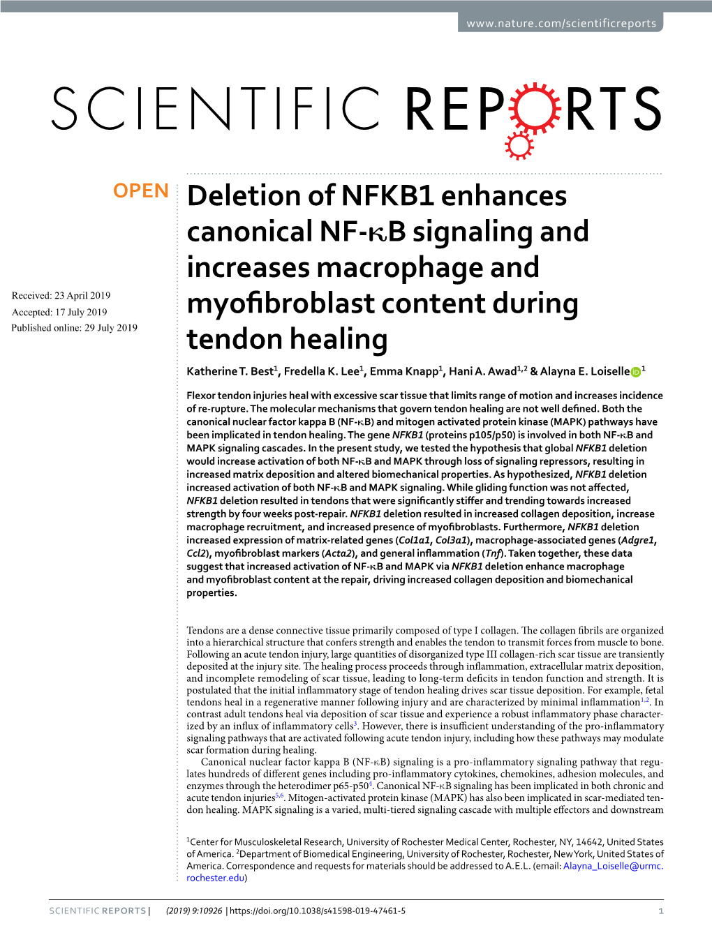 Deletion of NFKB1 Enhances Canonical NF-Κb Signaling And