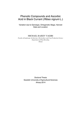 Phenolic Compounds and Ascorbic Acid in Black Currant (Ribes Nigrum L.)