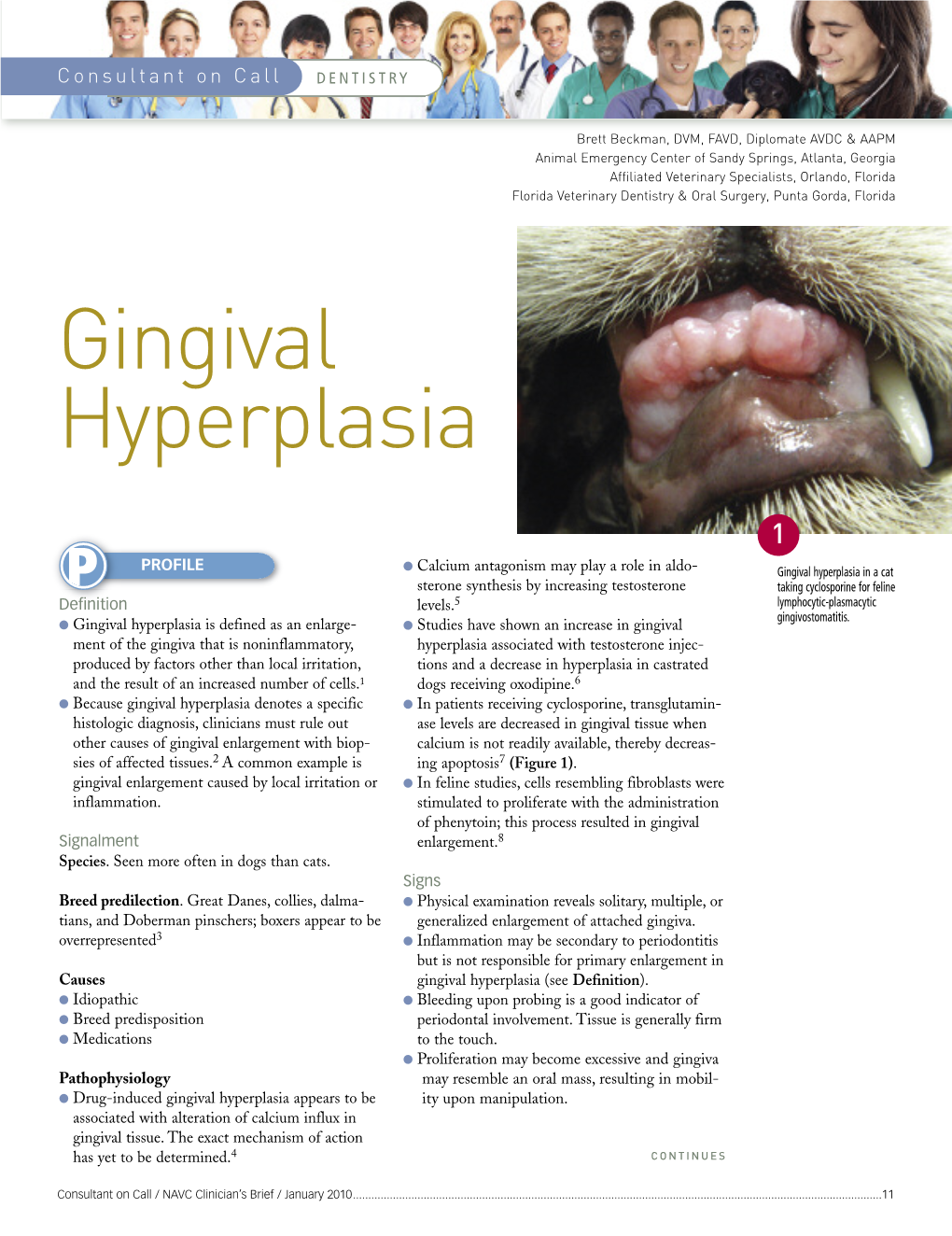 Gingival Hyperplasia in Dogs & Cats