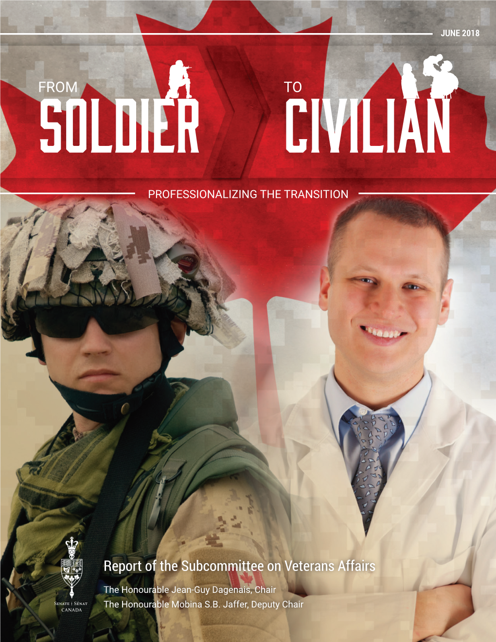 From Soldier to Civilian: Professionalizing the Transition