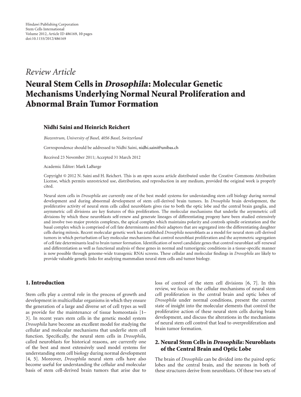 Neural Stem Cells in Drosophila: Molecular Genetic Mechanisms Underlying Normal Neural Proliferation and Abnormal Brain Tumor Formation