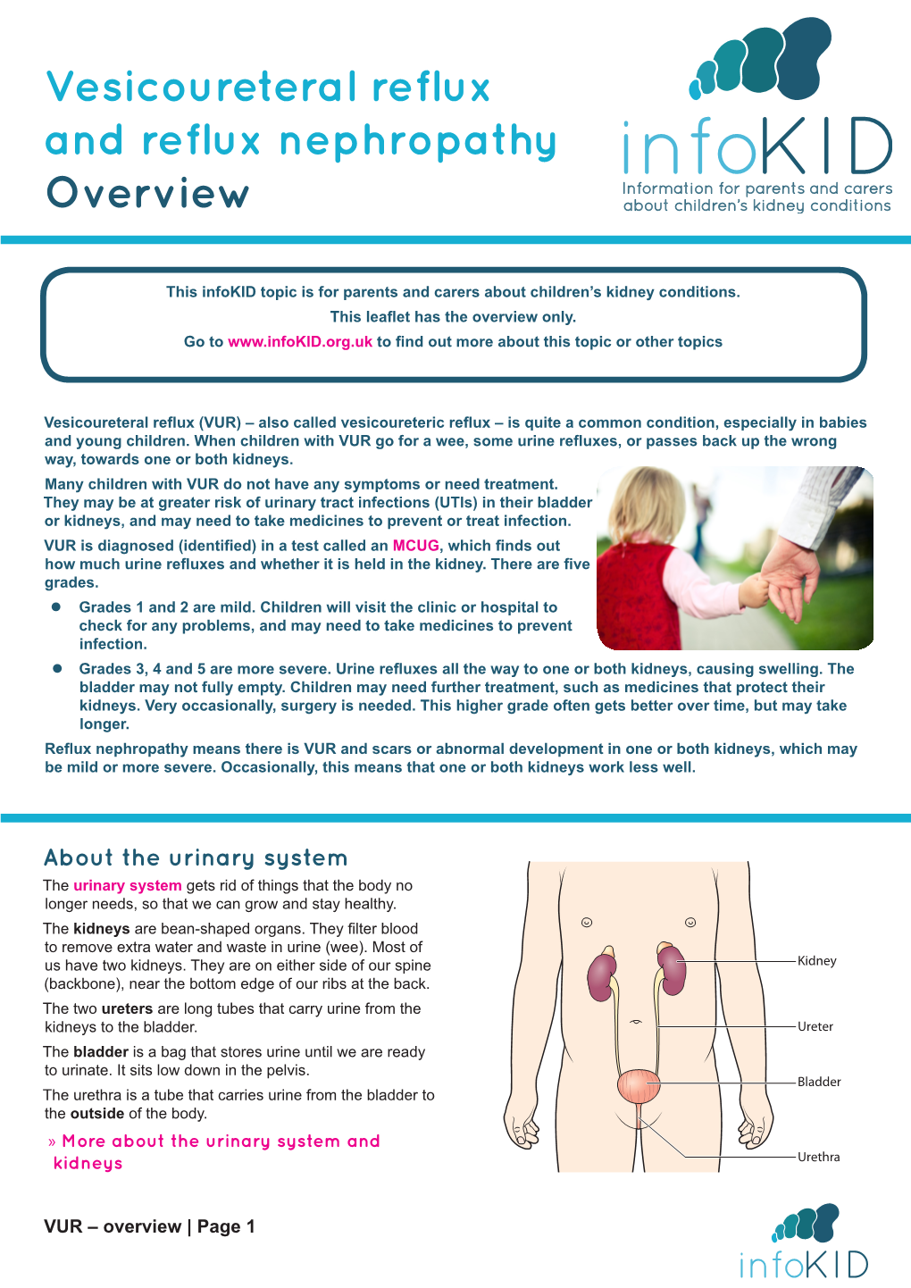 Vesicoureteral Reflux and Reflux Nephropathy Overview