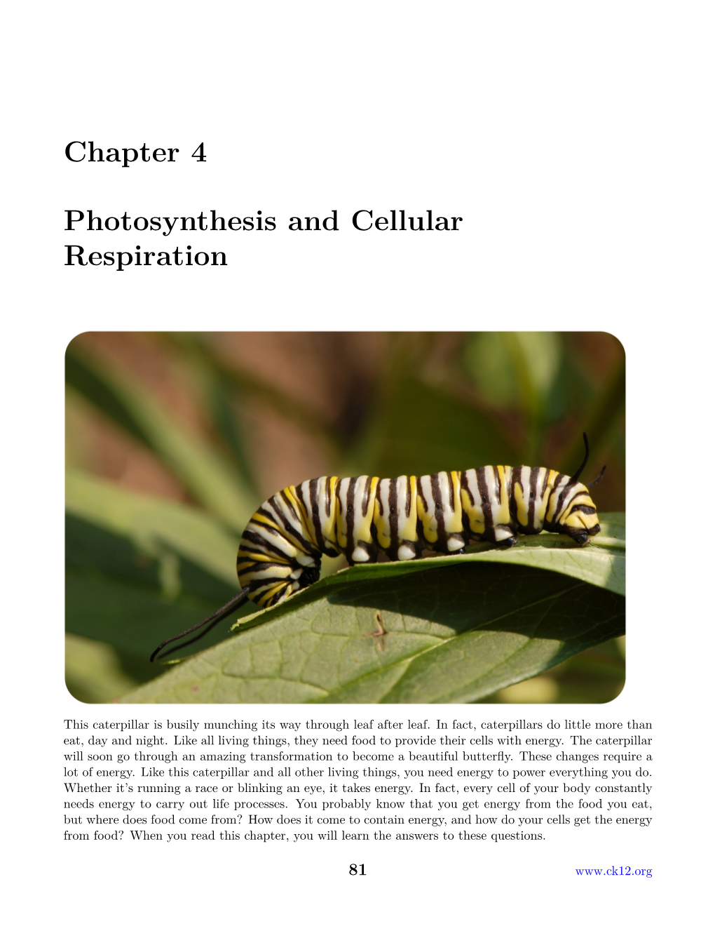 Chapter 4 Photosynthesis and Cellular Respiration