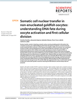 Somatic Cell Nuclear Transfer in Non-Enucleated Goldfish Oocytes