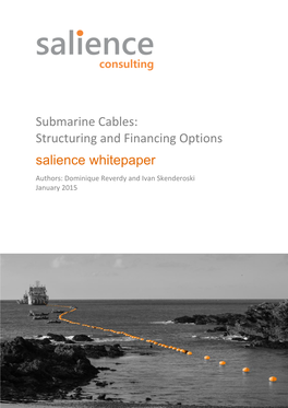 Submarine Cables: Structuring and Financing Options