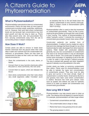 A Citizen's Guide to Phytoremediation