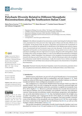 Polychaete Diversity Related to Different Mesophotic Bioconstructions Along the Southeastern Italian Coast