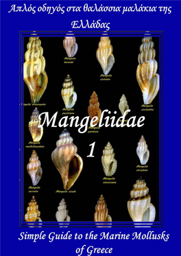 GR Simple Guide Mangeliidae 1.Pdf