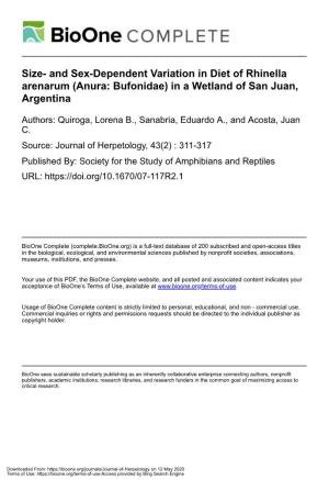 Size- and Sex-Dependent Variation in Diet of Rhinella Arenarum (Anura: Bufonidae) in a Wetland of San Juan, Argentina