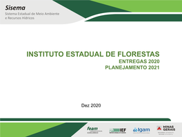 Instituto Estadual De Florestas Entregas 2020 Planejamento 2021