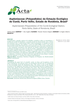 Aspleniaceae (Polypodiales) Da Estação Ecológica Do Cuniã, Porto