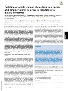 Evolution of Abiotic Cubane Chemistries in a Nucleic Acid Aptamer Allows Selective Recognition of a Malaria Biomarker