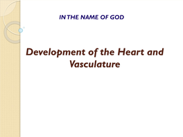 Development of the Heart and Vasculature Overview