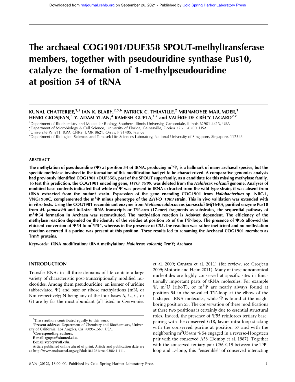 The Archaeal COG1901/DUF358 SPOUT-Methyltransferase