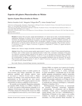 Especies Del Género Phaeoclavulina En México