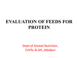 Evaluation of Feeds for Protein