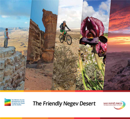 The Friendly Negev Desert Introduction 4